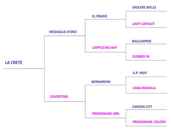 LaCrete Pedigree Profile